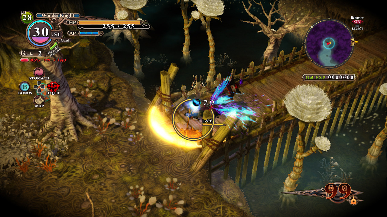 The Witch and the Hundred Knight - кадр 8