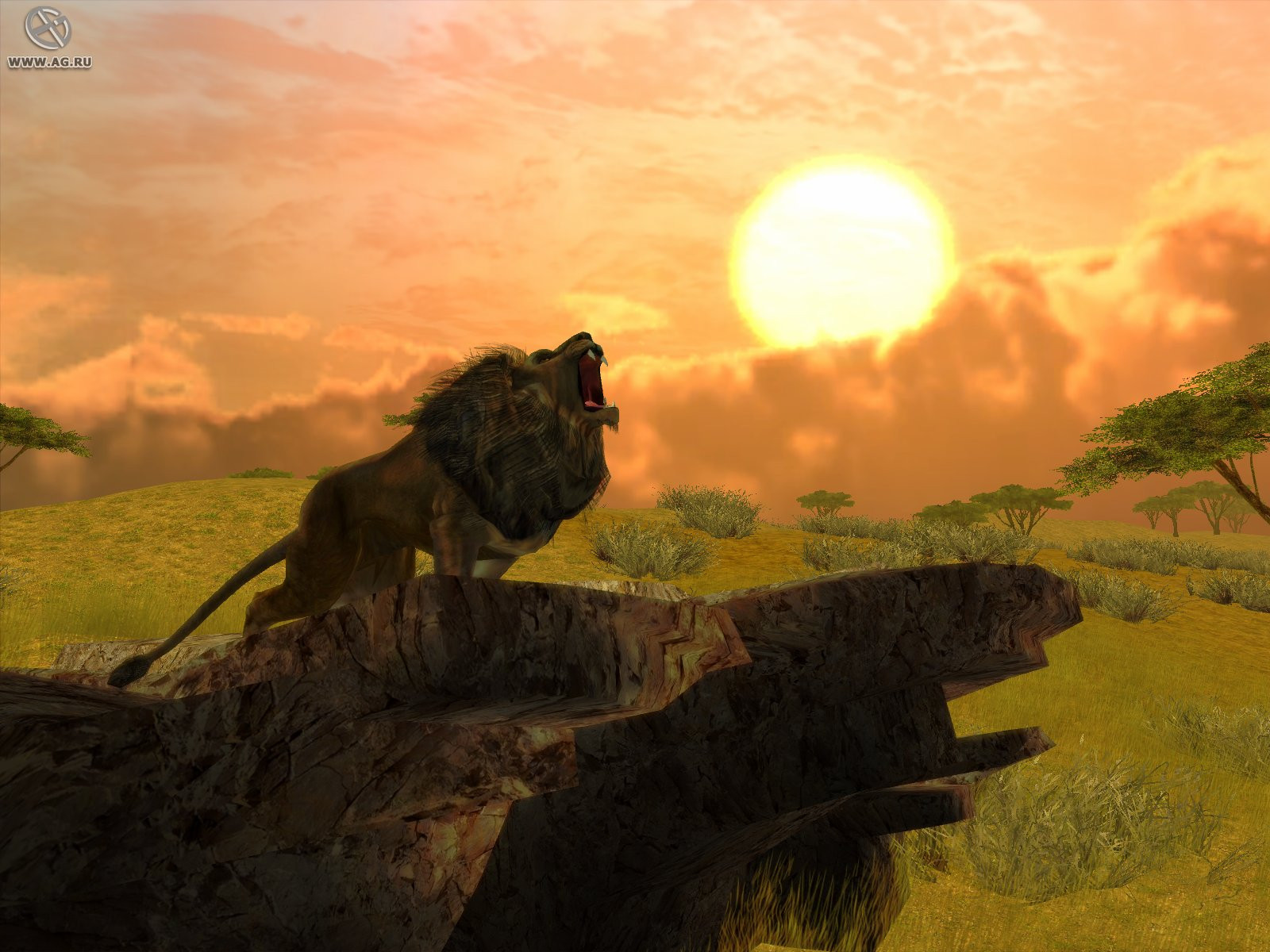 Cabela's African Safari - кадр 5