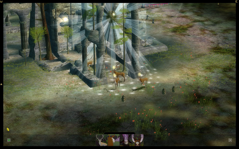 The Endless Forest - кадр 1