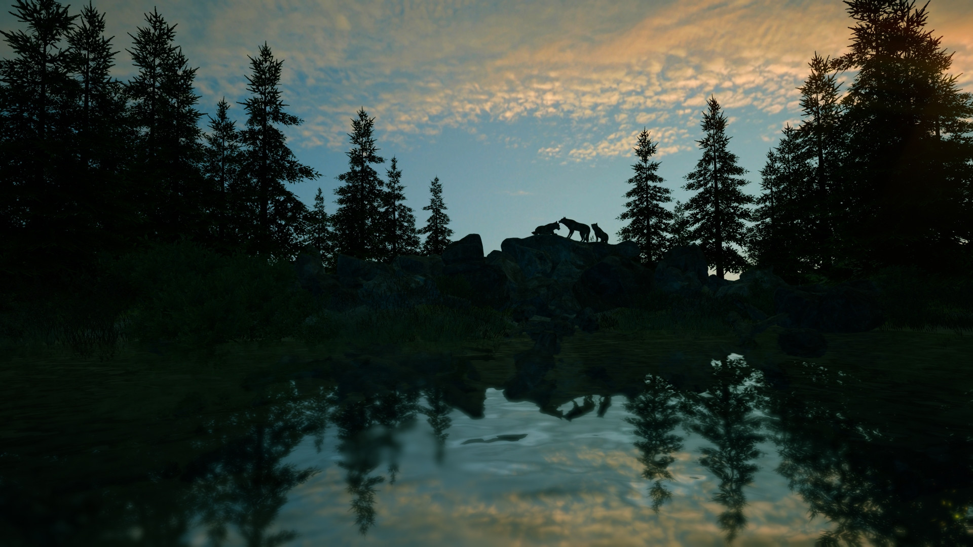 FlowScape - кадр 4