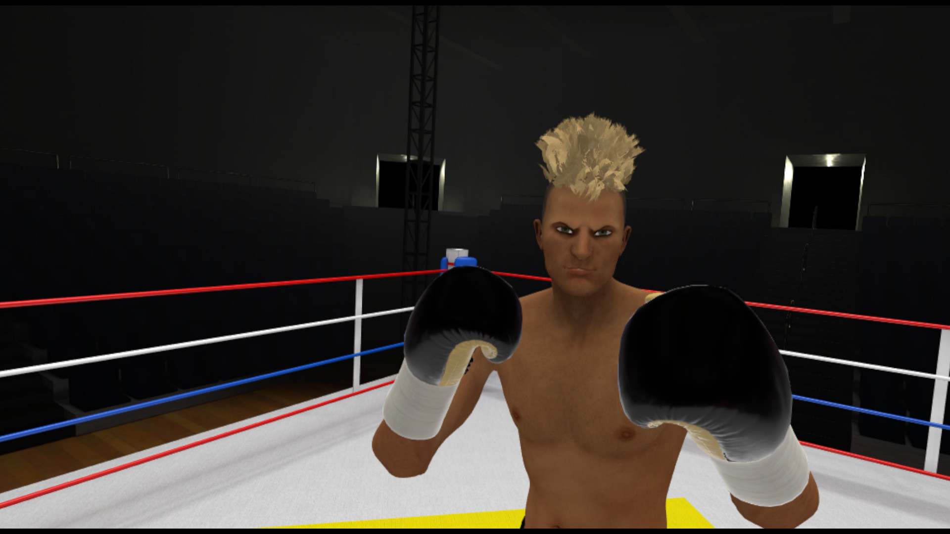 The Thrill of the Fight - VR Boxing - кадр 1