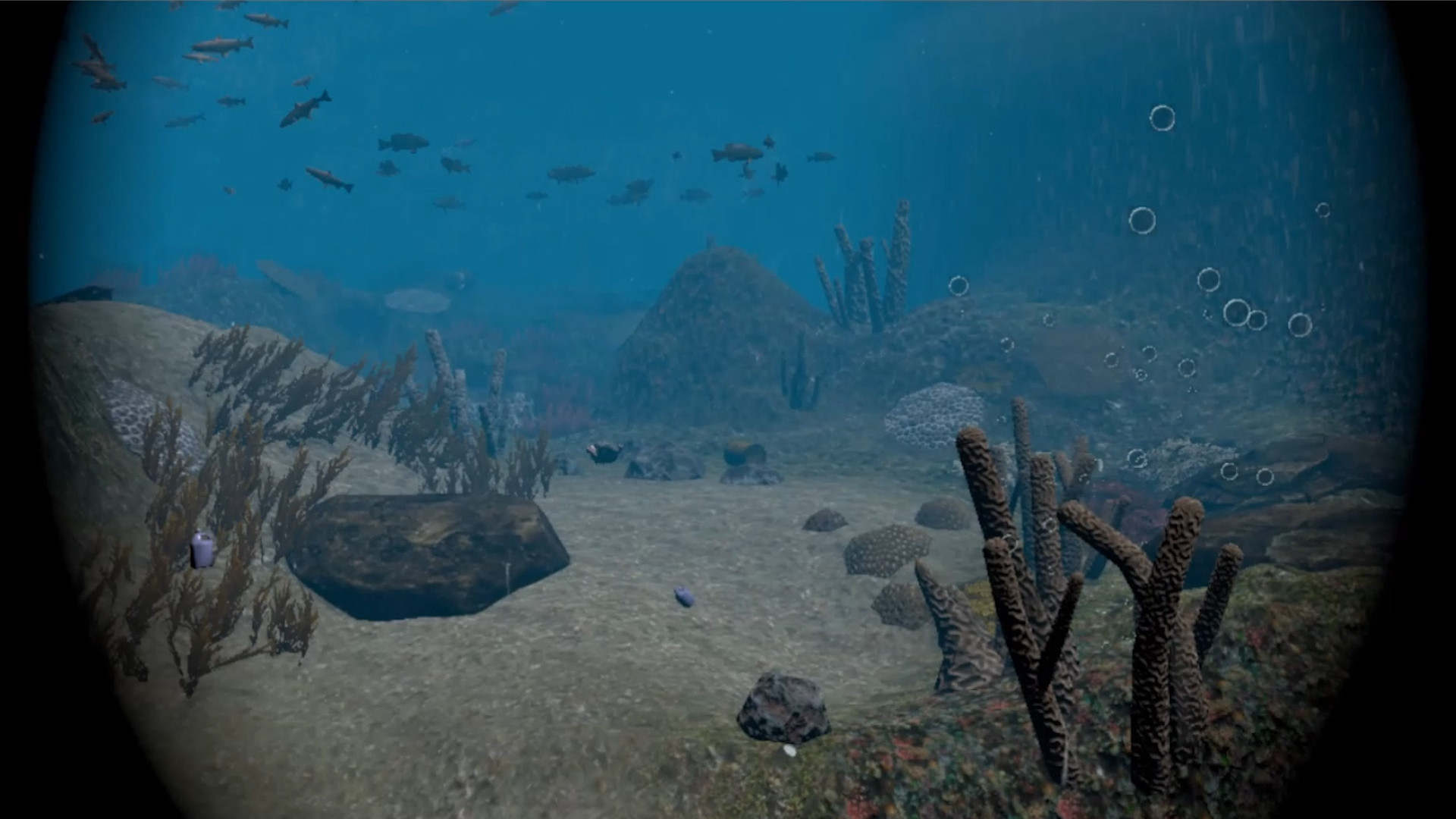 Scuba Ocean Odyssey VR (itch) - кадр 1