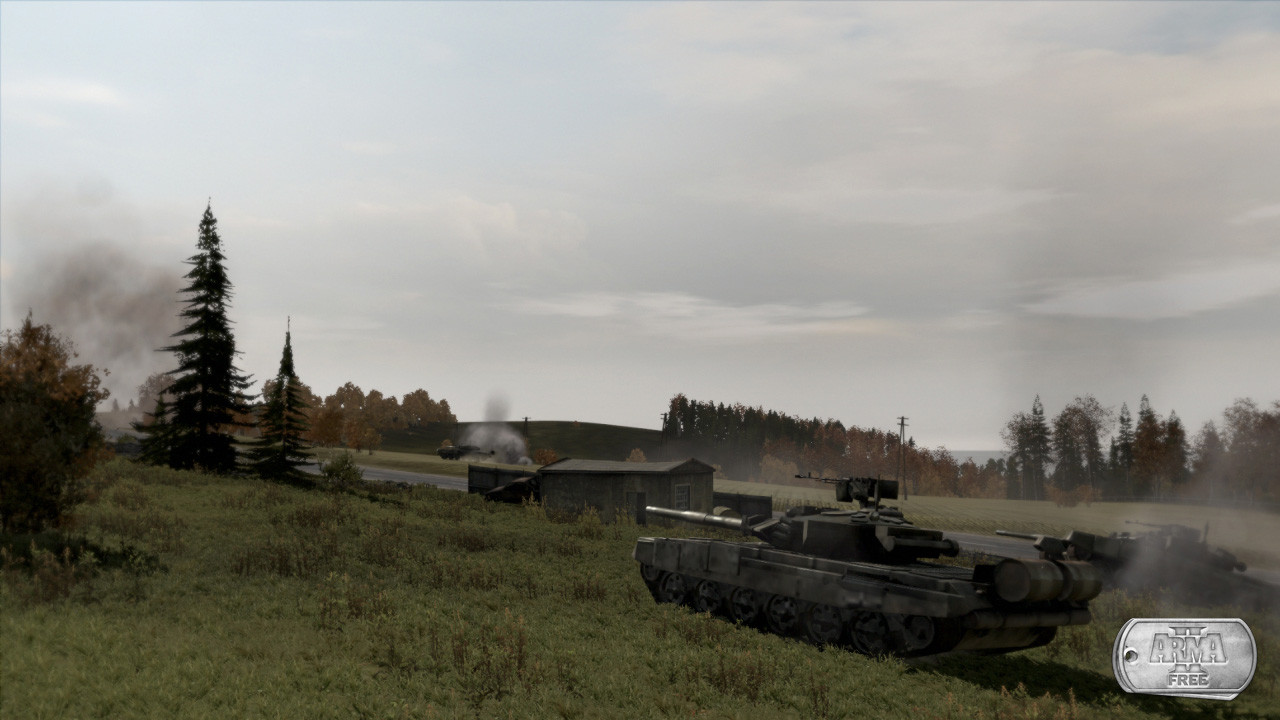 Arma 2: Free - кадр 1