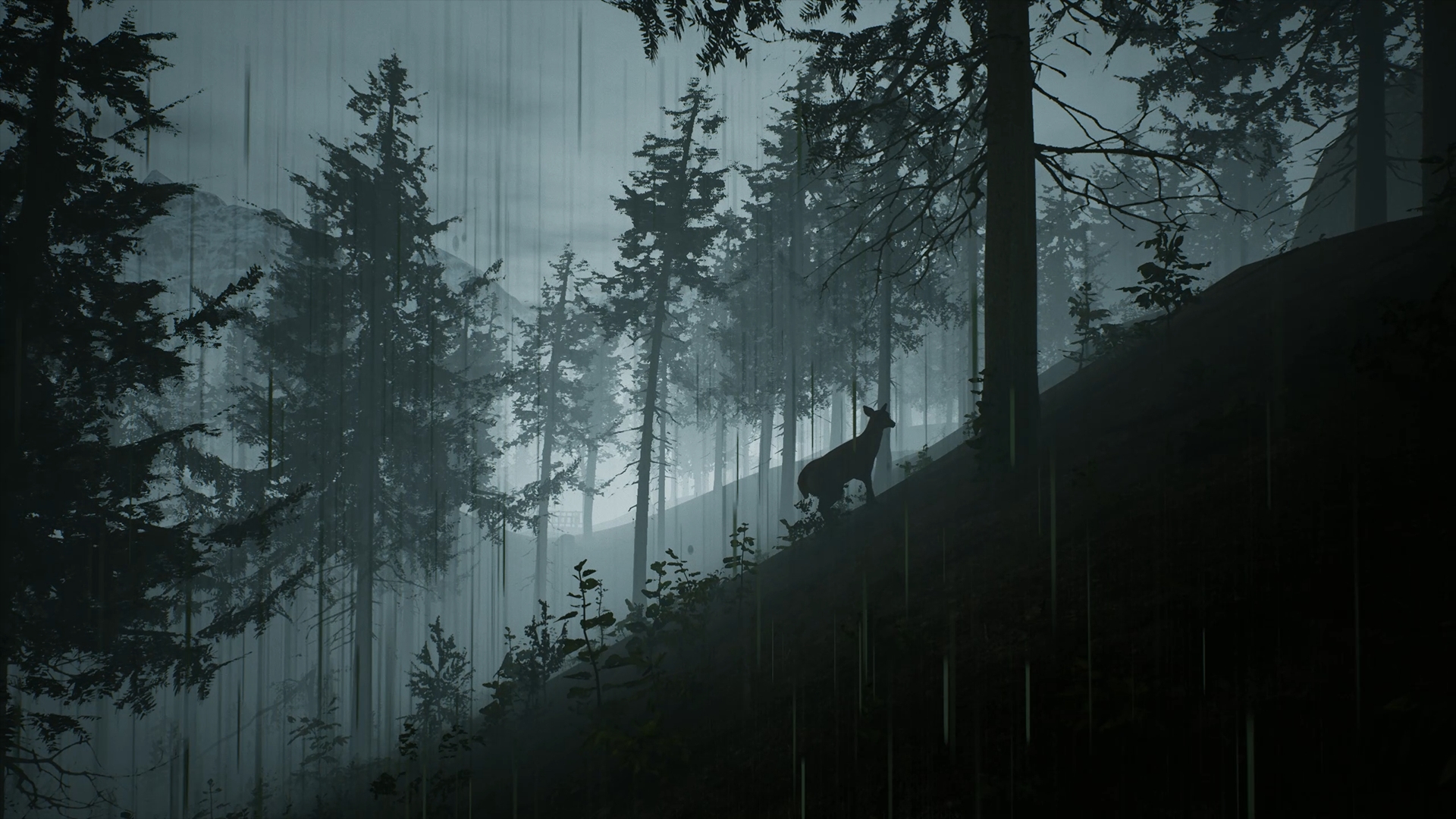 Morels: The Hunt - кадр 3