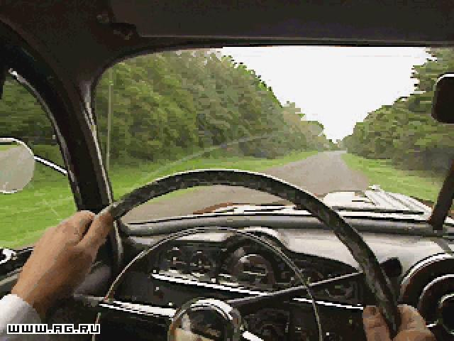 The Dame Was Loaded - кадр 2
