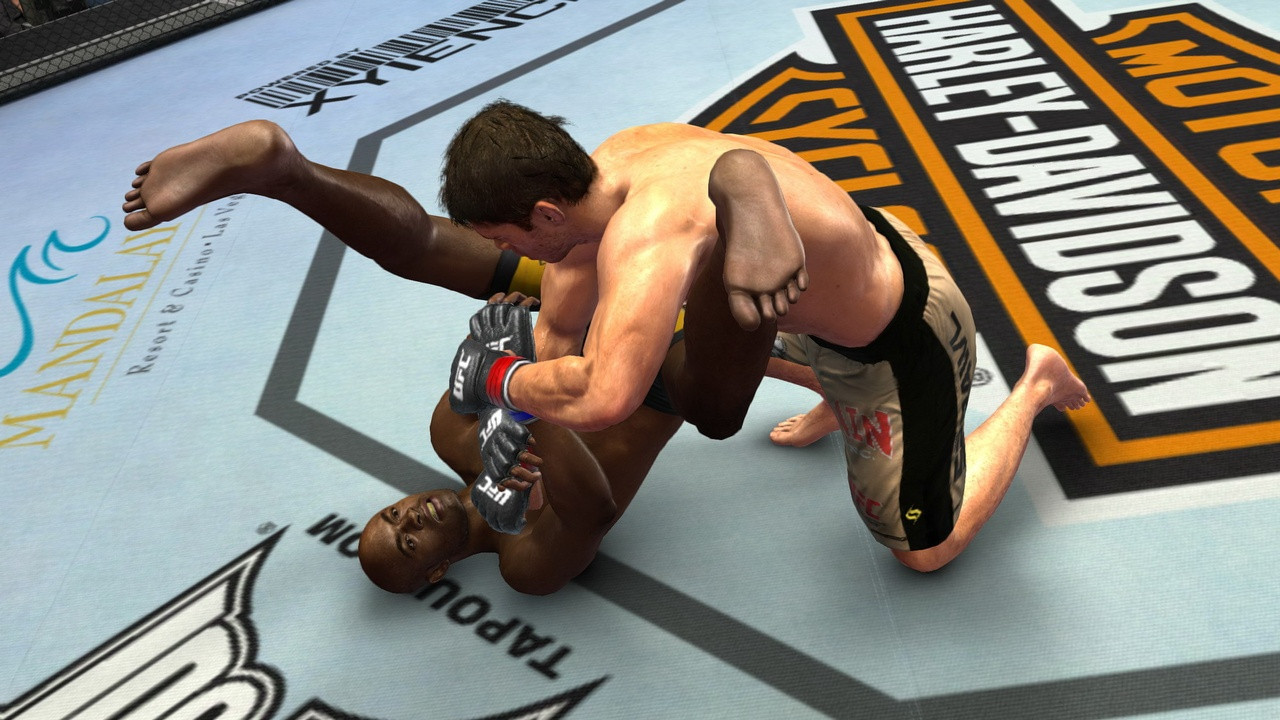 UFC 2009 Undisputed - кадр 6