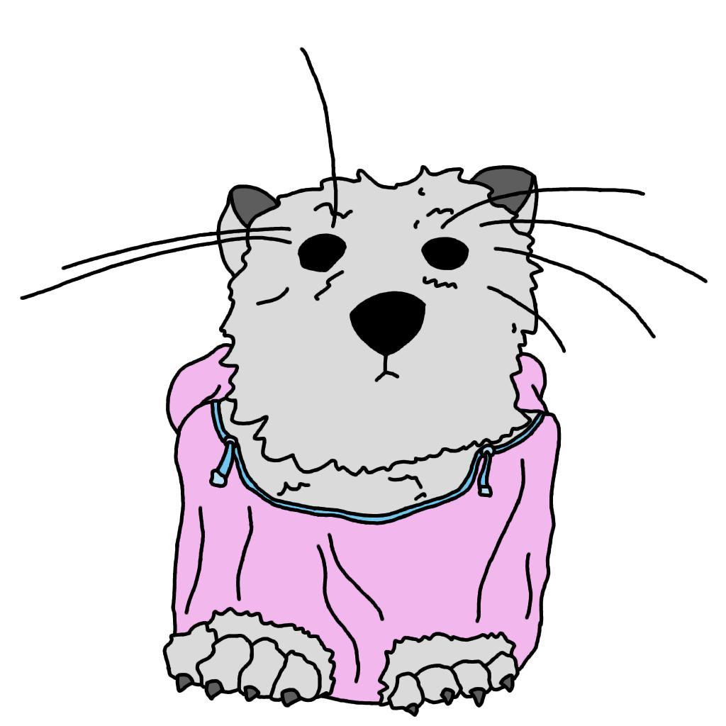 CathoardRaySkull (itch) - кадр 1