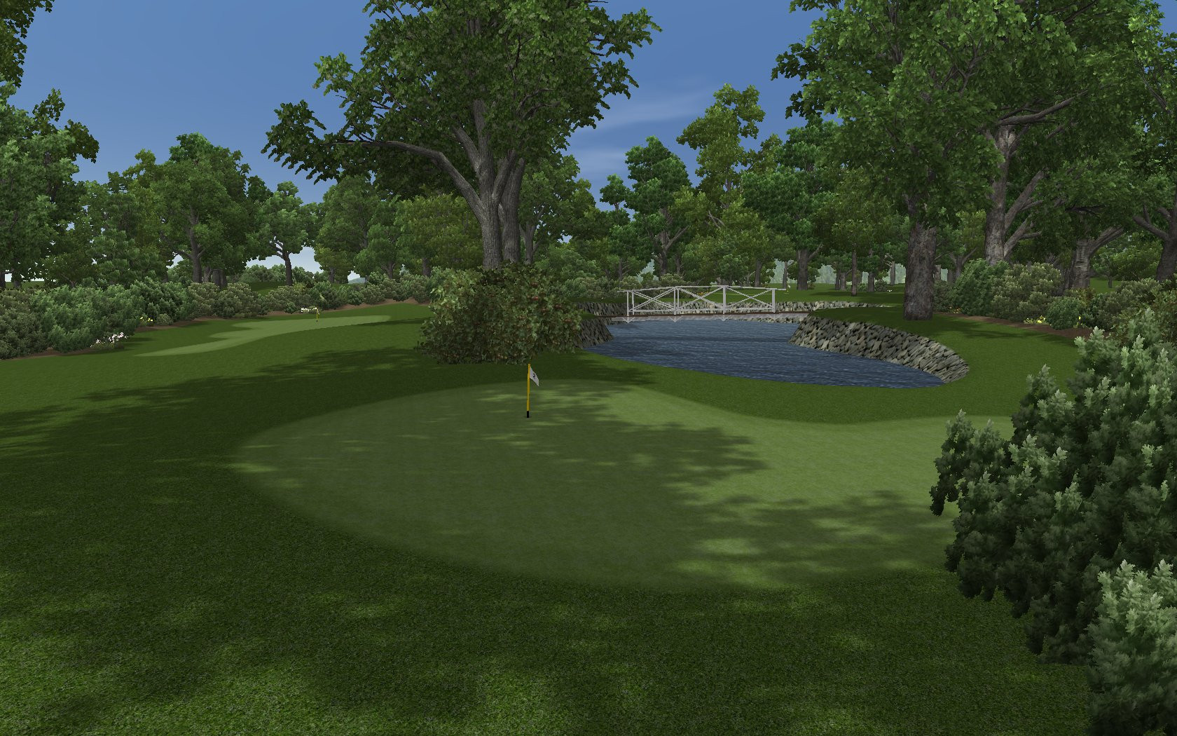 CustomPlay Golf 2010 - кадр 1
