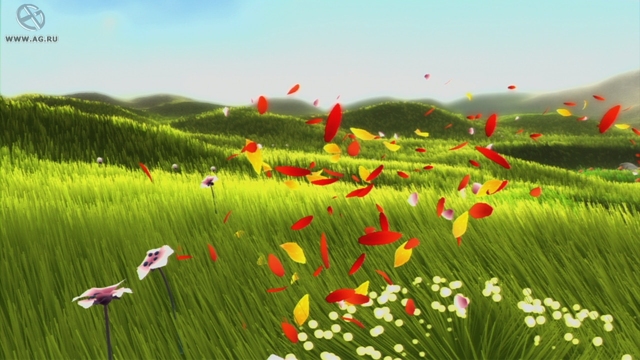 Flower - кадр 6