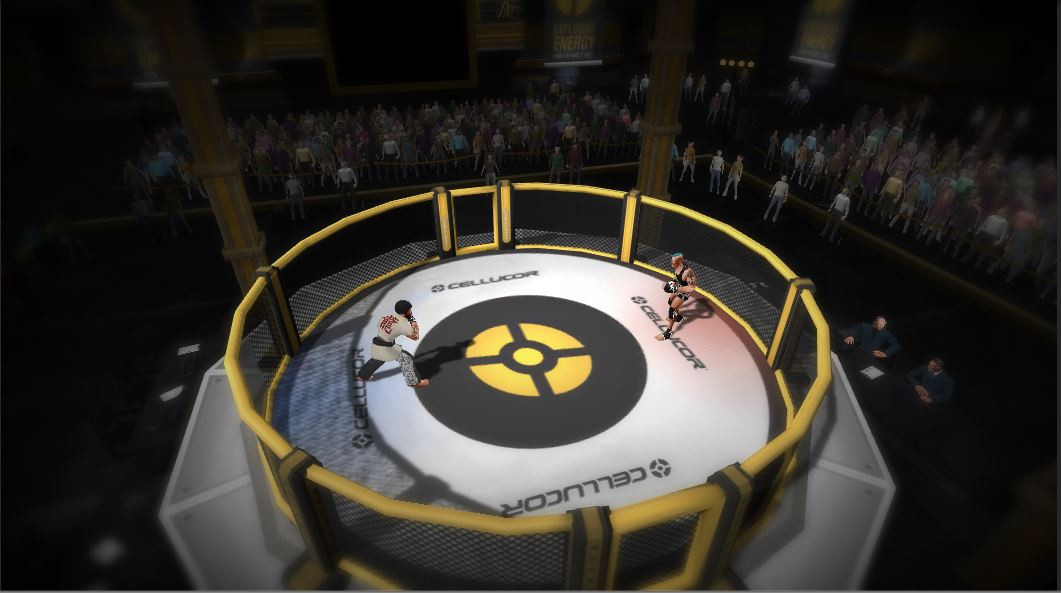MMA Arena - кадр 2