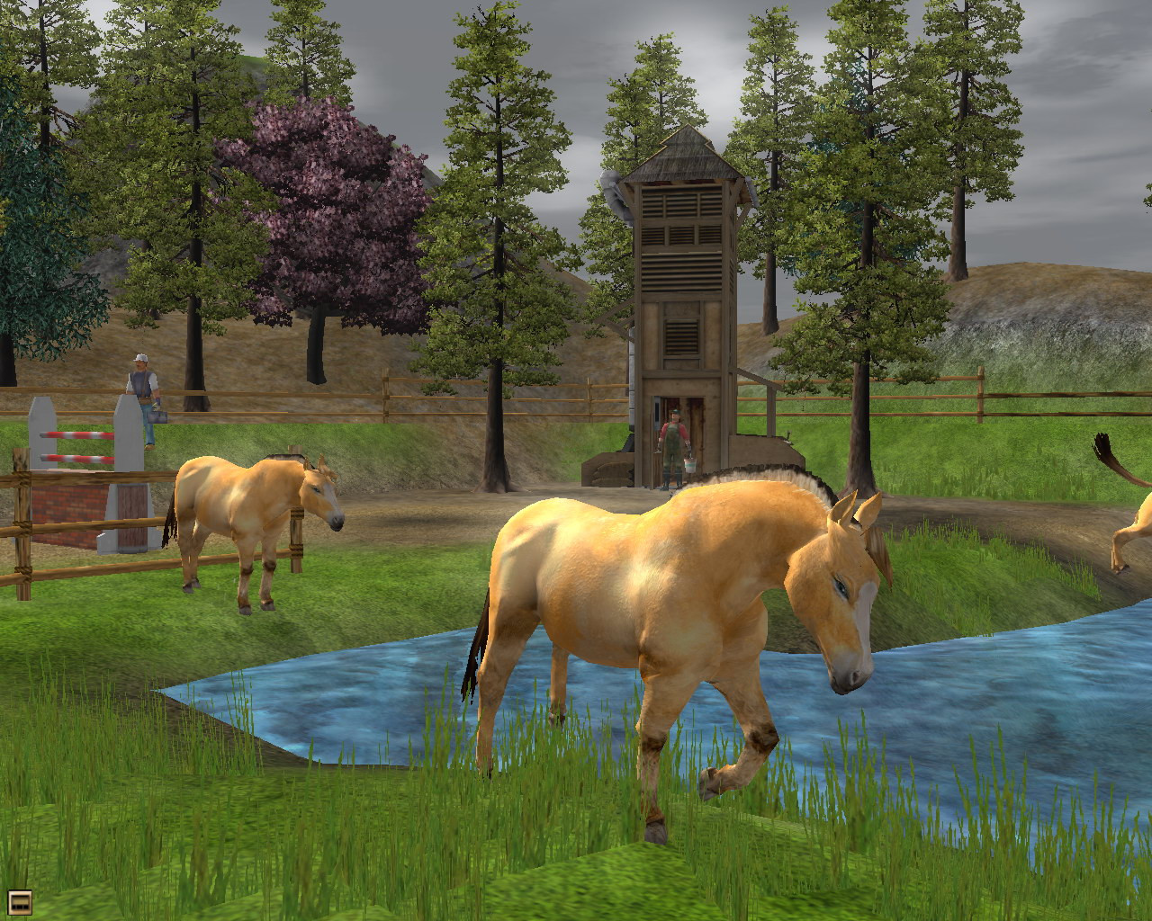 Wildlife Park 2: Horses - кадр 3