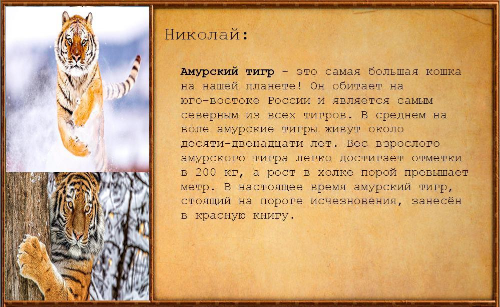 IТАТАРЫ (itch) - кадр 1
