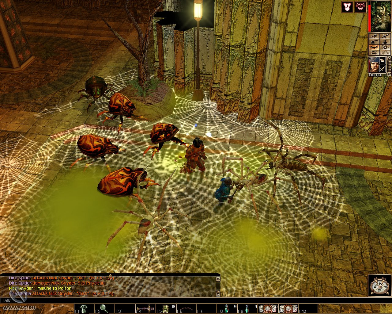 Neverwinter Nights: Shadows of Undrentide - кадр 1