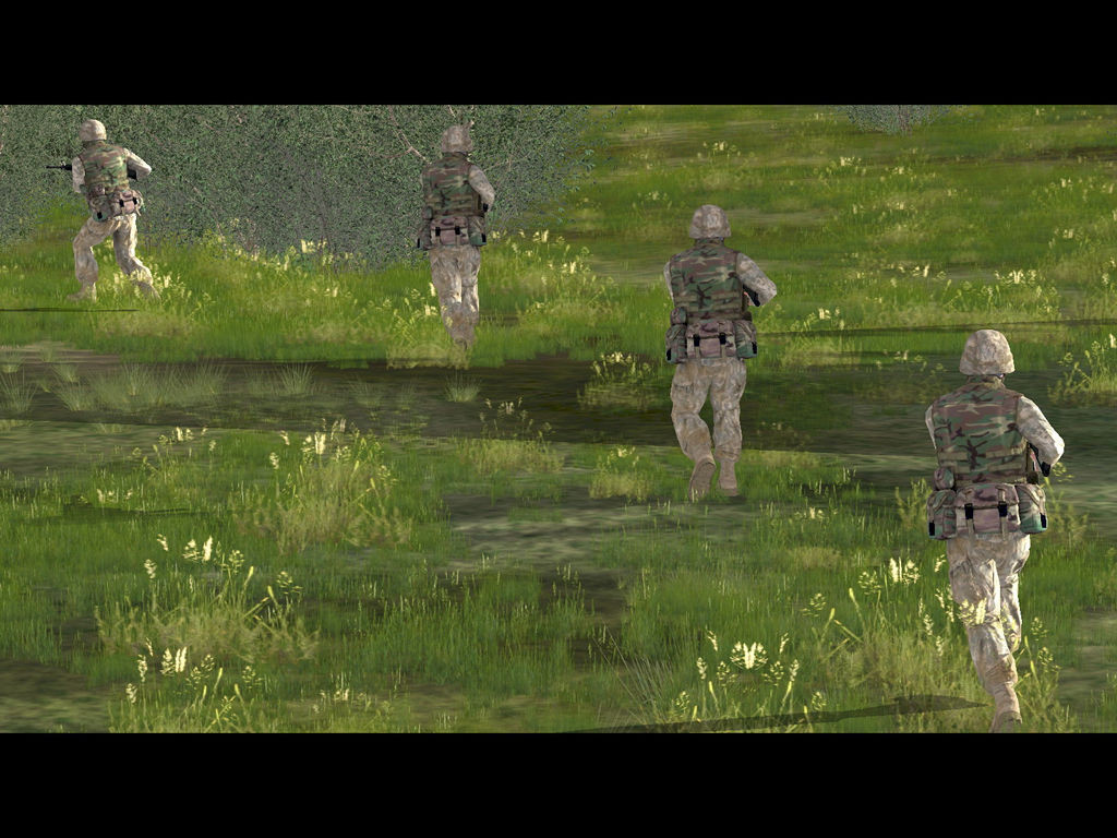 Arma: Armed Assault - кадр 9