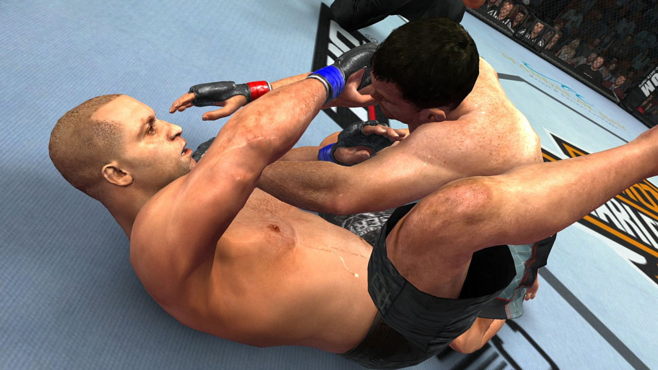 UFC 2009 Undisputed - кадр 8