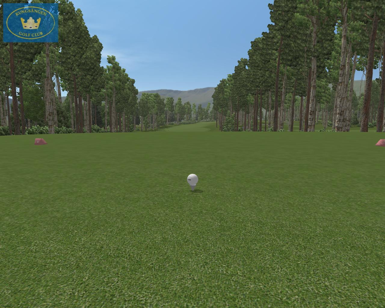 CustomPlay Golf 2010 - кадр 2