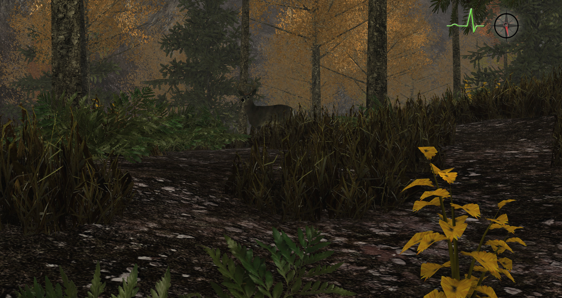 Whitetail Challenge - кадр 1