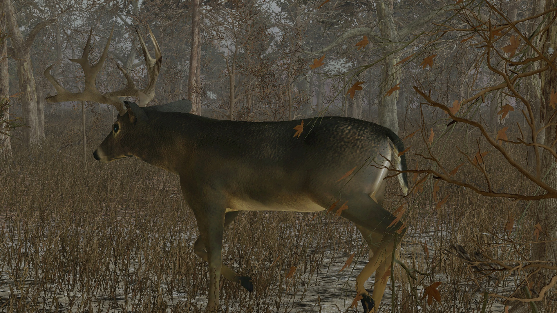 Pro Deer Hunting - кадр 2