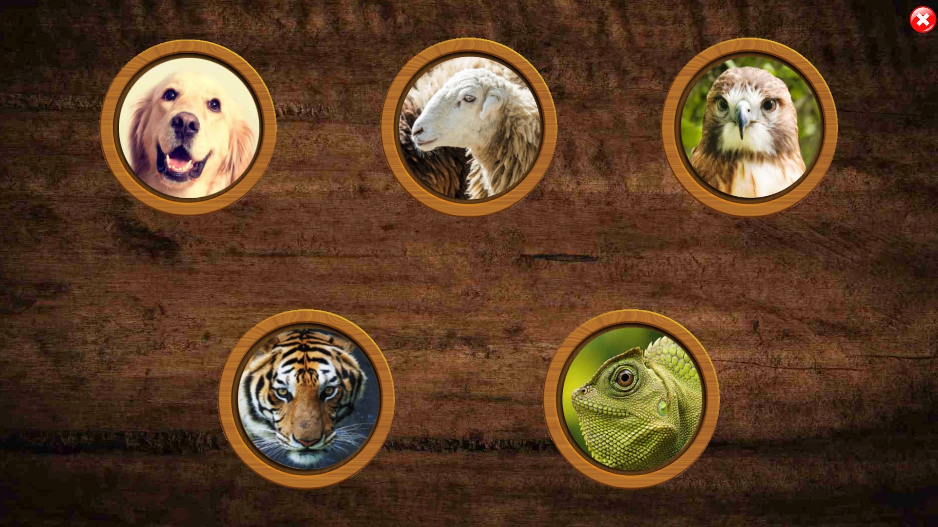 All Animals Pairs Memory Game (itch) - кадр 3