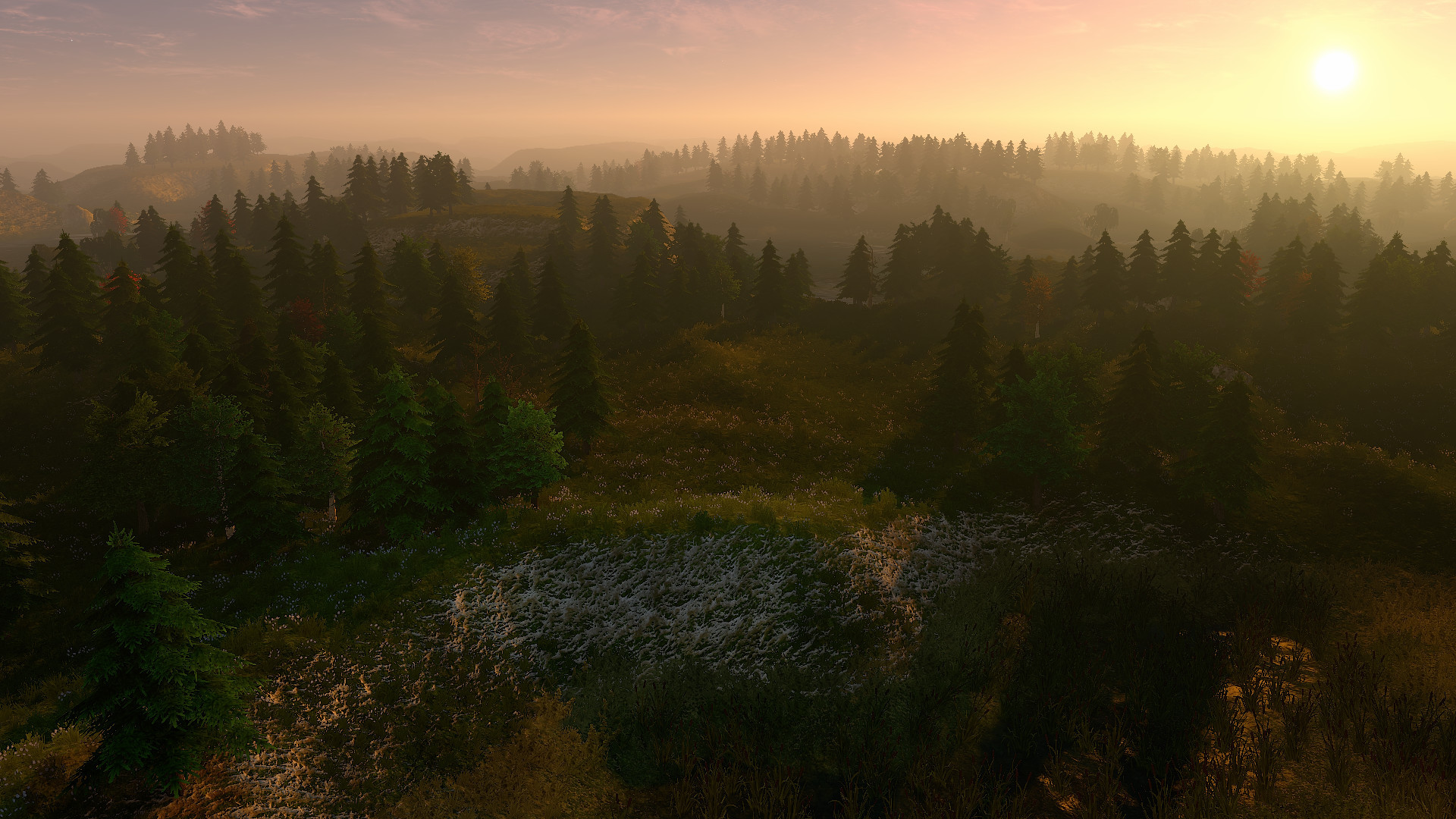 Project 5: Sightseer - кадр 3