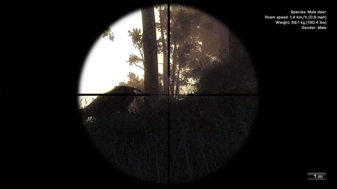 The Hunter - кадр 1
