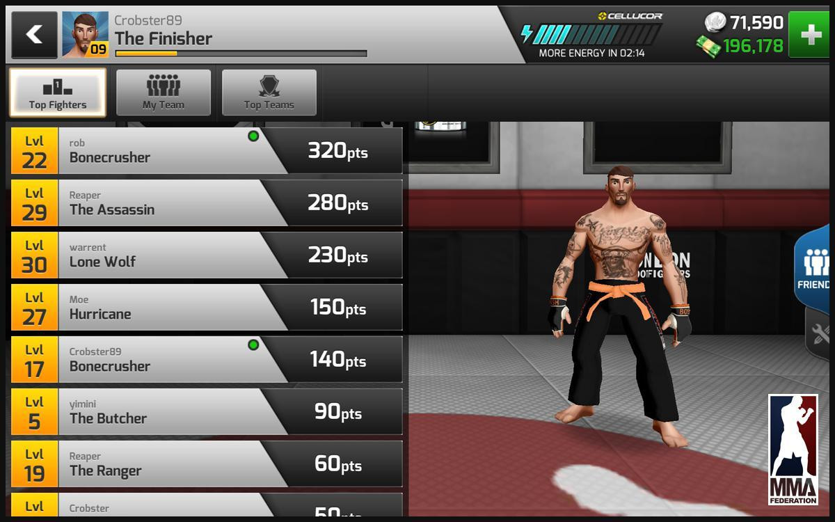 MMA Federation - кадр 3