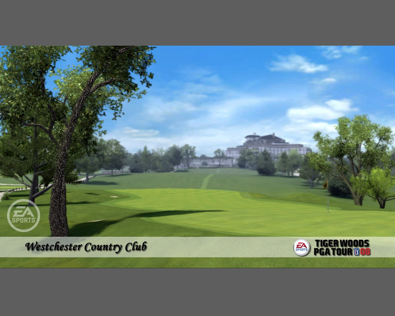 Tiger Woods PGA Tour 08 - кадр 4