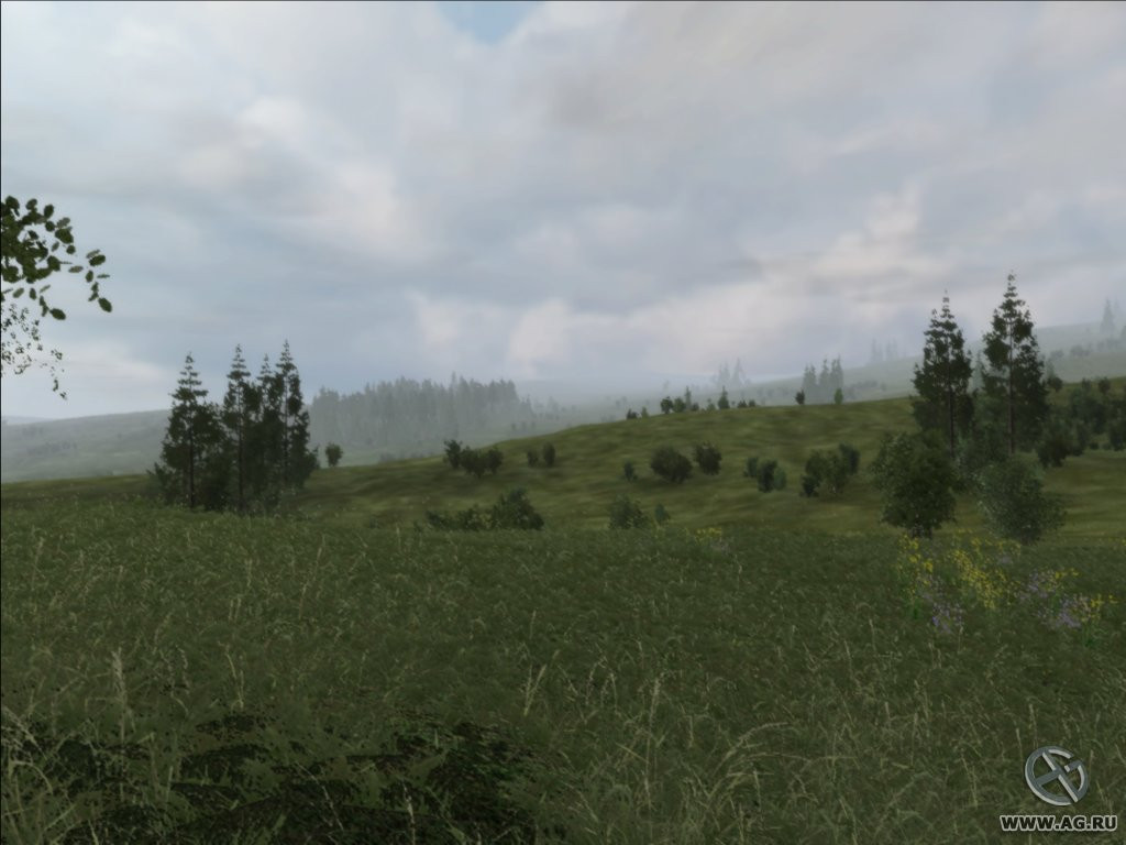 Arma: Armed Assault - кадр 13