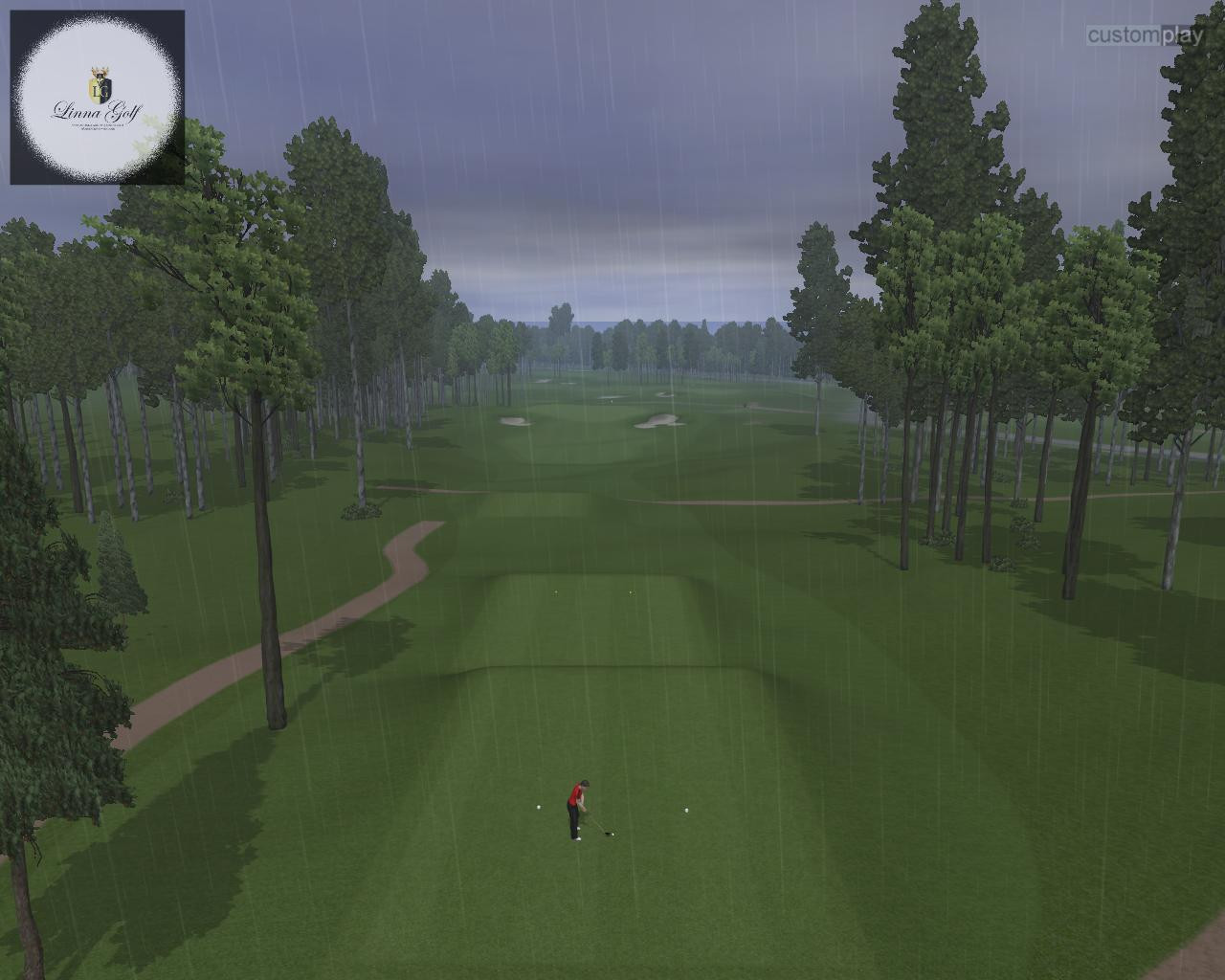 CustomPlay Golf 2010 - кадр 3