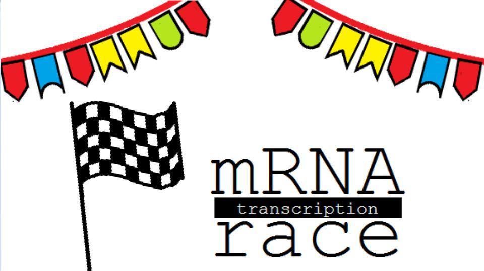 The mRNA Transcription Race (itch) - кадр 1