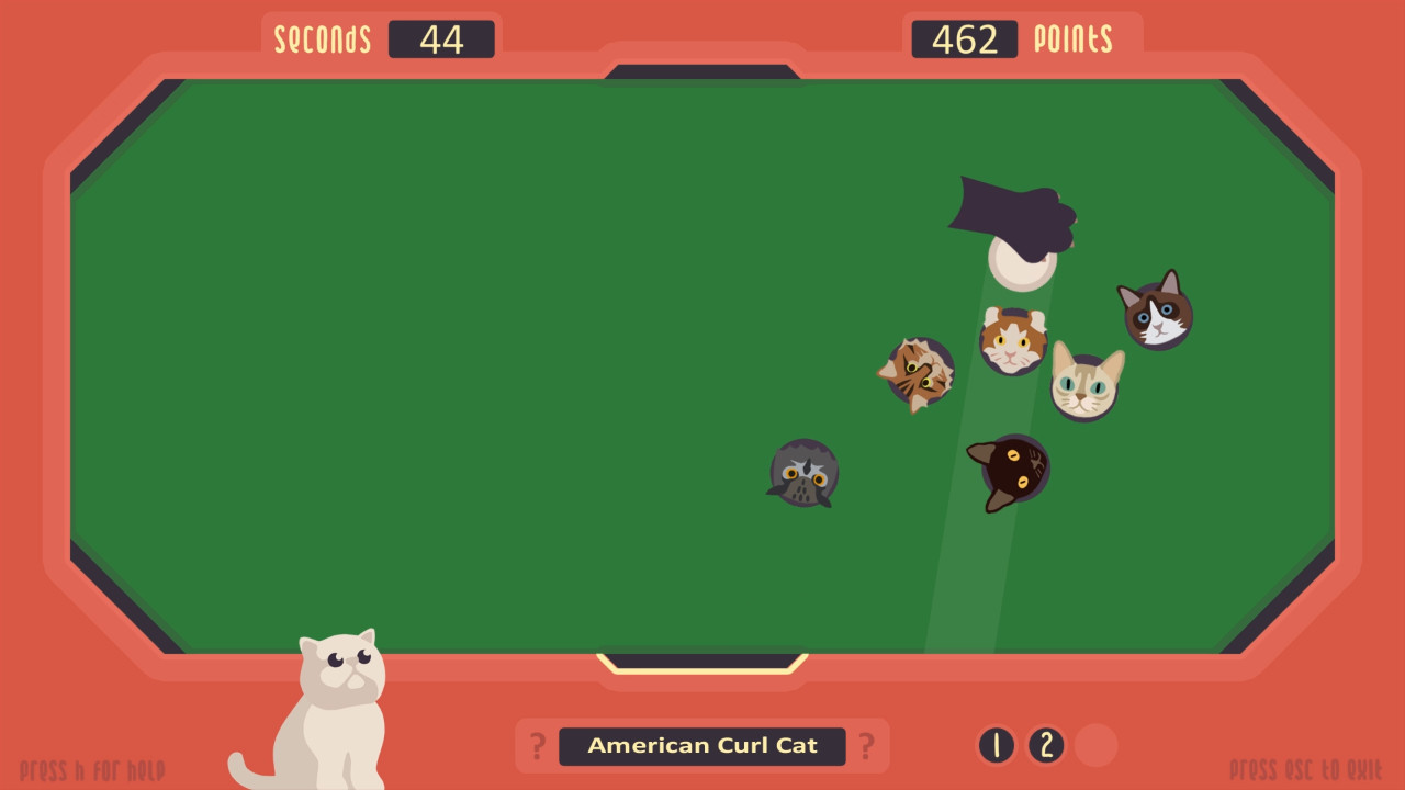The Cat Games - кадр 1