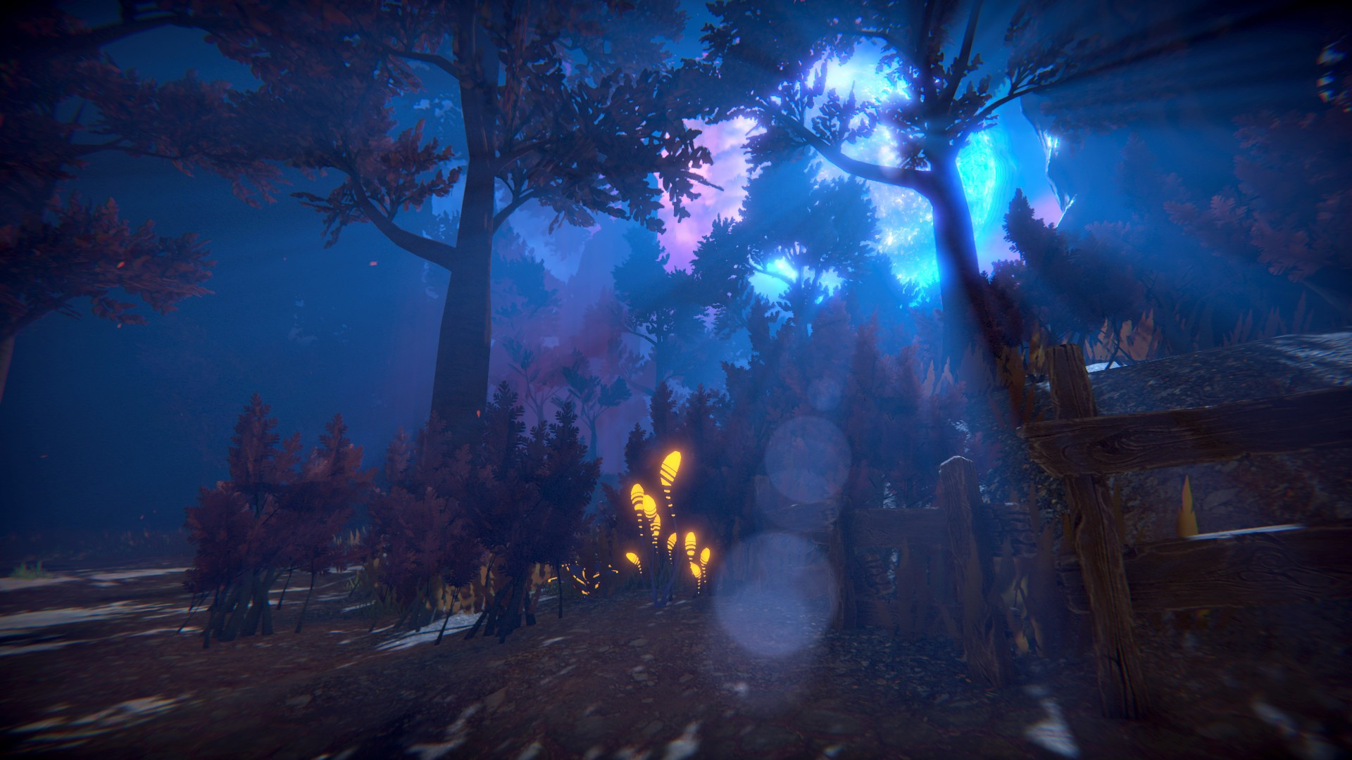 Seed of Life - кадр 2