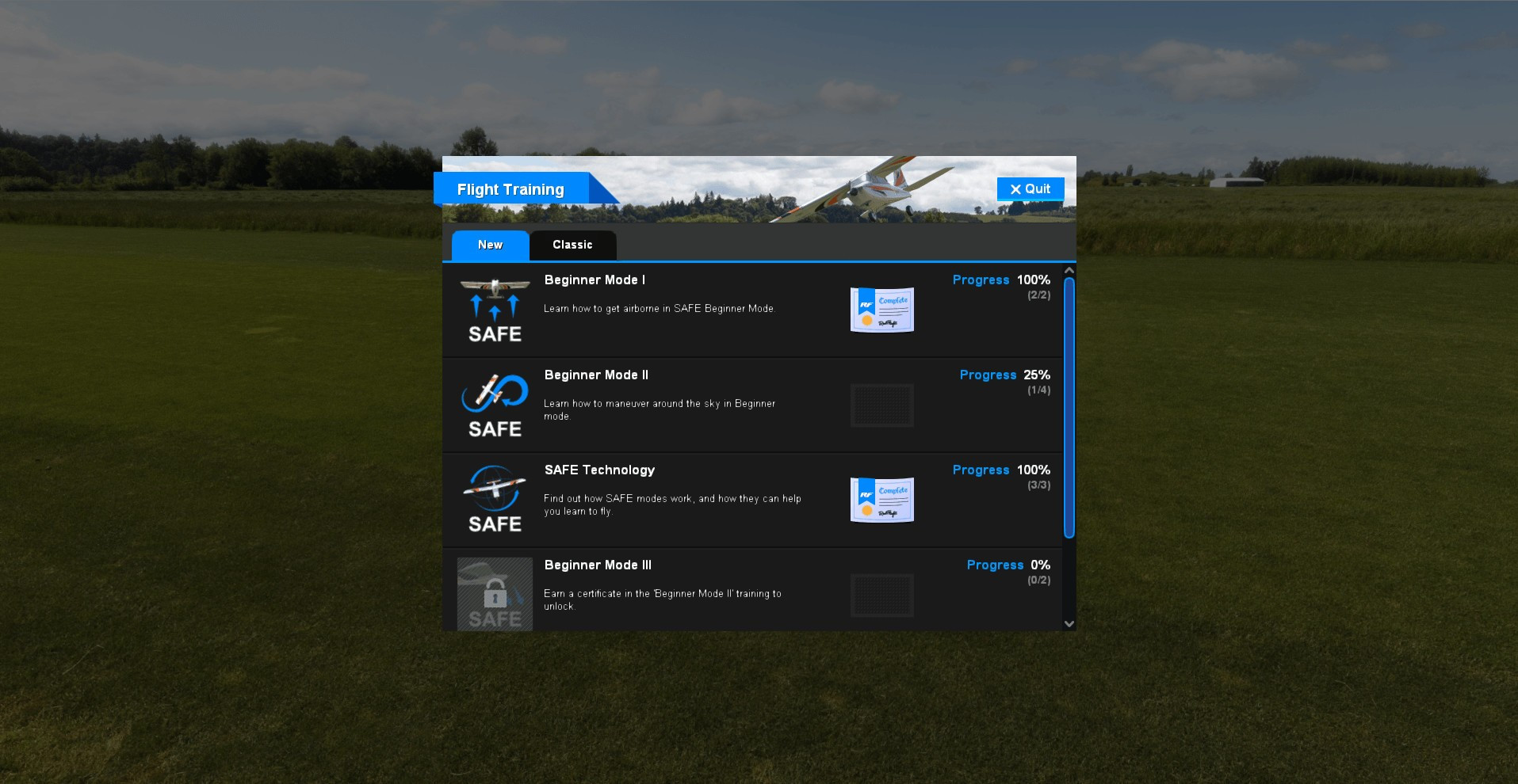 RealFlight 9 - кадр 2