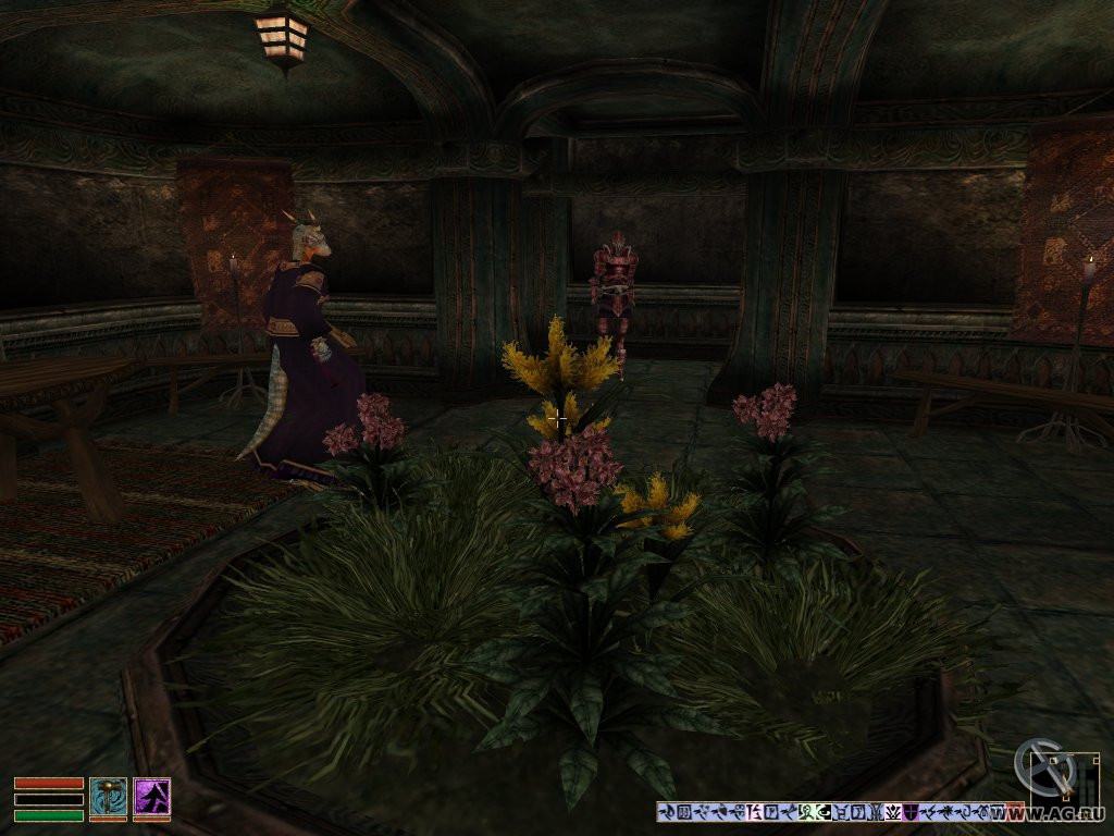 The Elder Scrolls 3: Tribunal - кадр 6