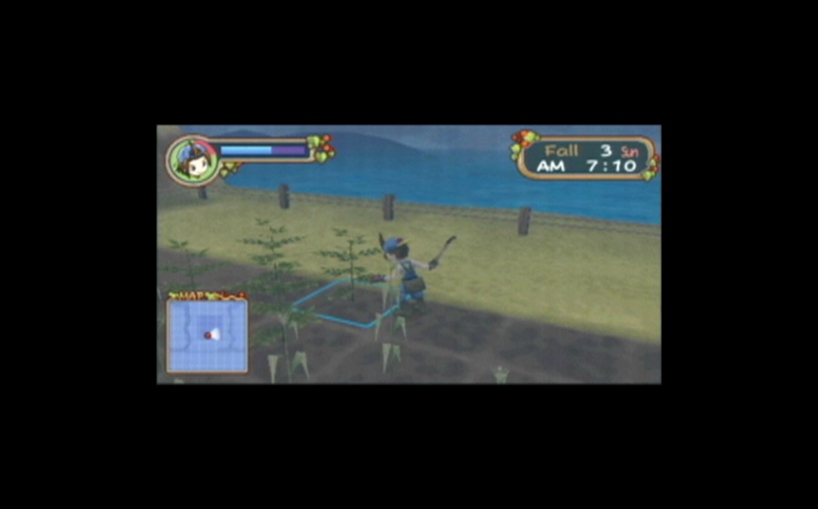 Harvest Moon: Hero of Leaf Valley - кадр 2