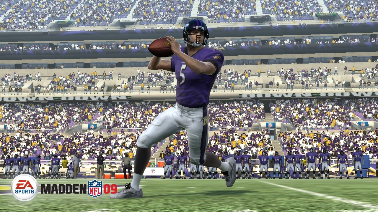 Madden NFL 09 - кадр 12