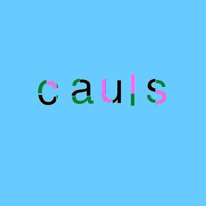 CAULS (itch) - кадр 1