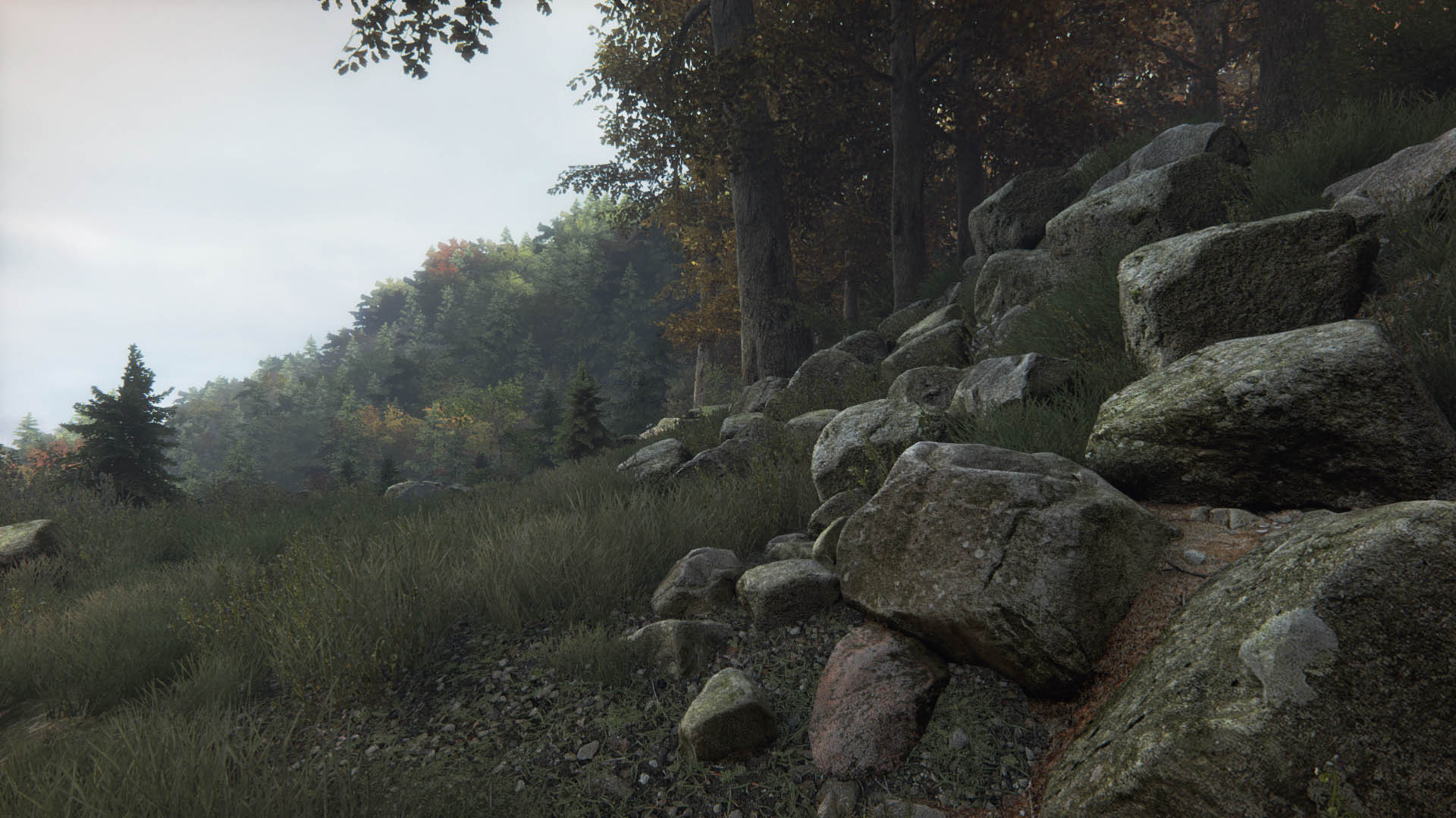 The Vanishing of Ethan Carter - кадр 3