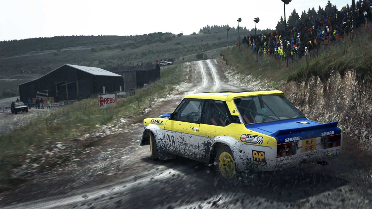 DiRT Rally - кадр 11