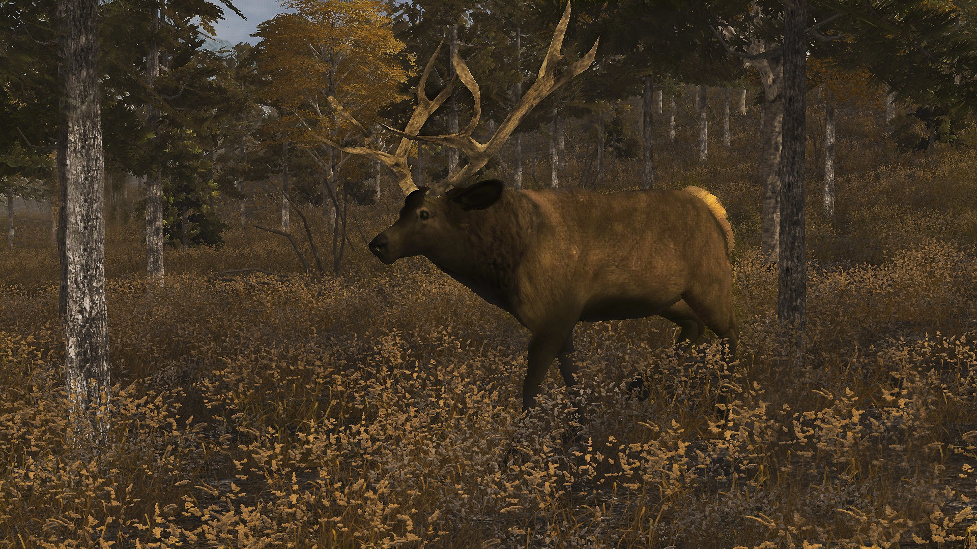 Elk Simulator - кадр 3