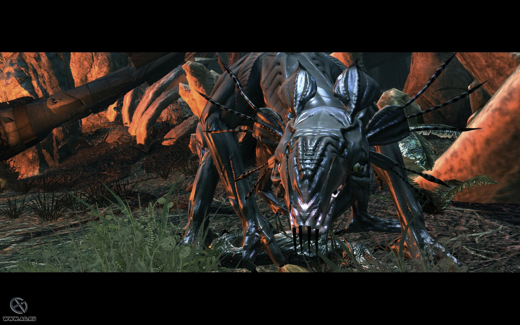 James Cameron's Avatar: The Game - кадр 10