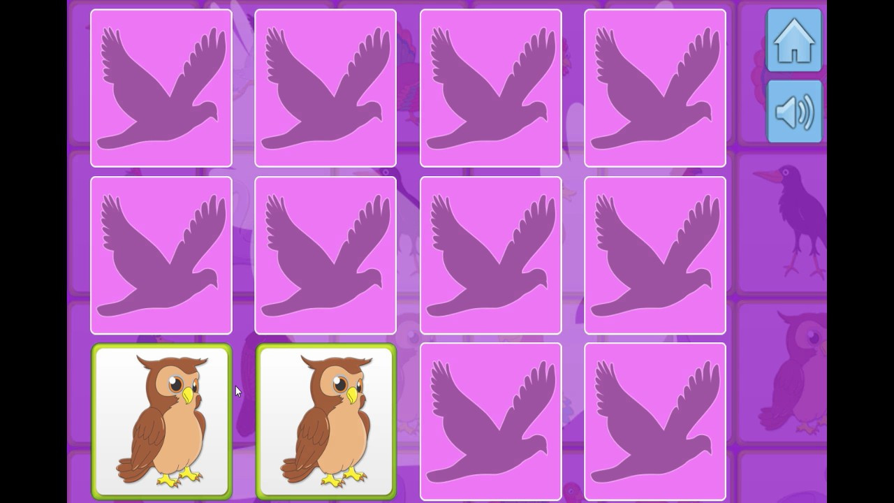 Bird Memory - кадр 1