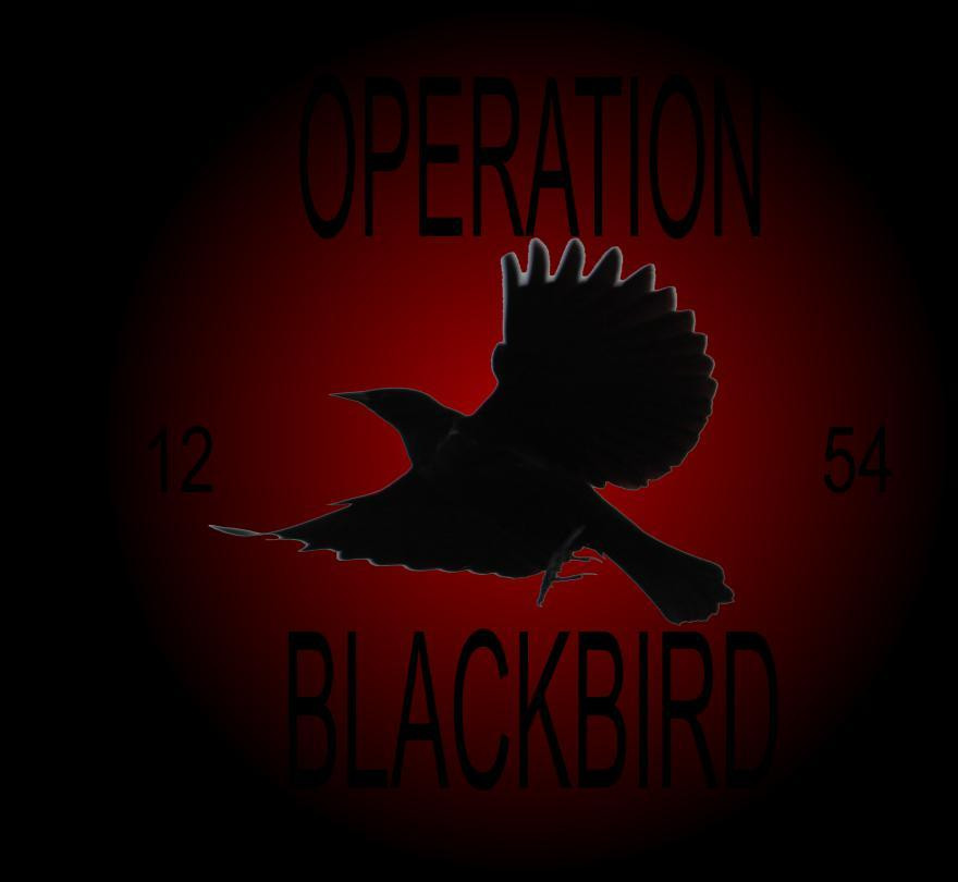 Operation Blackbird (itch) - кадр 1
