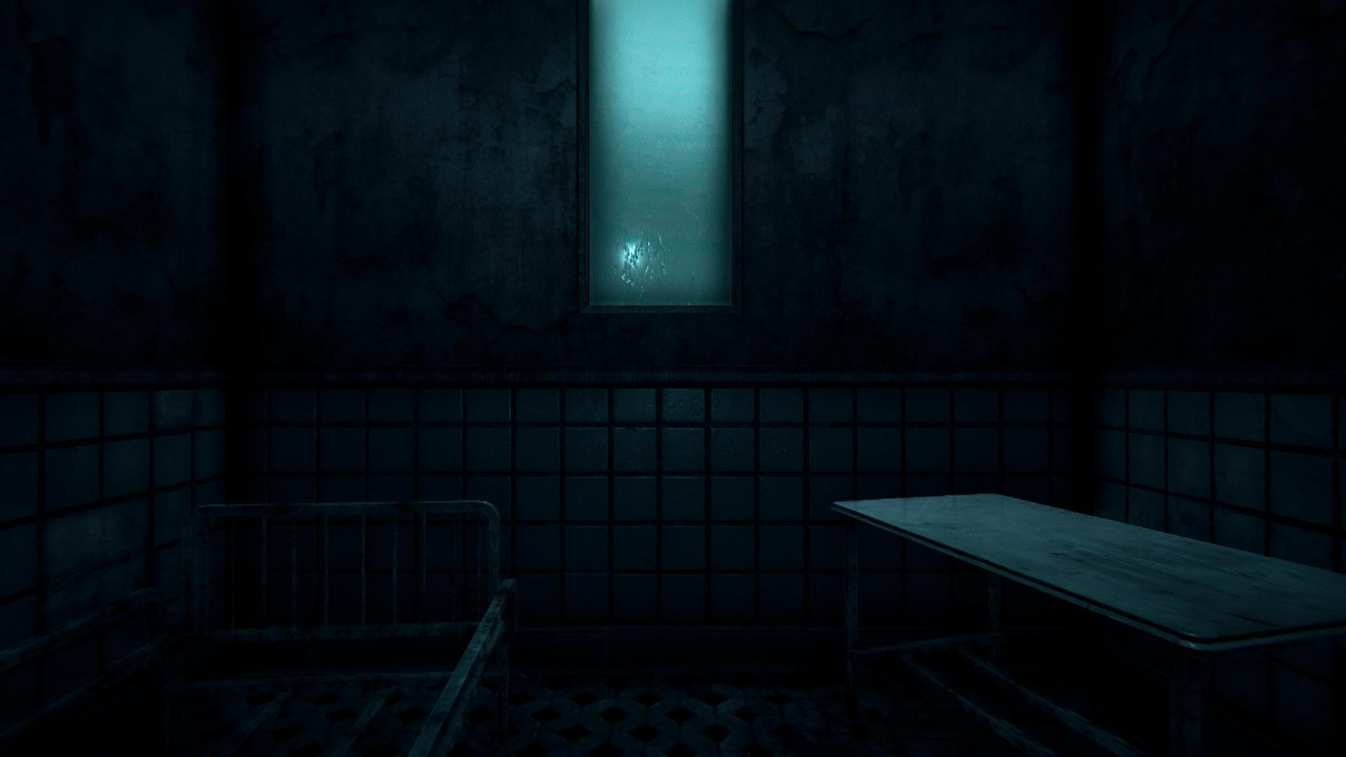 Kirkbrook Lunatic Asylum (itch) - кадр 2