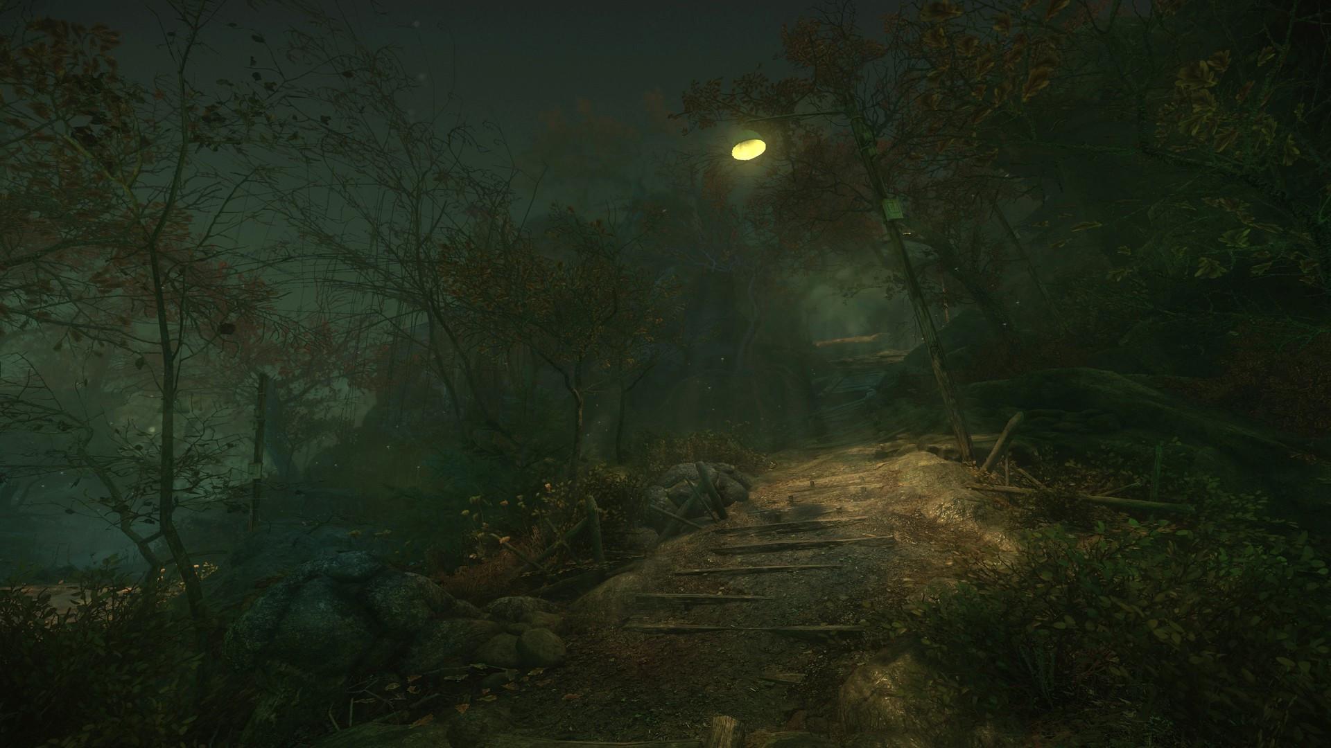 The Cursed Forest - кадр 1
