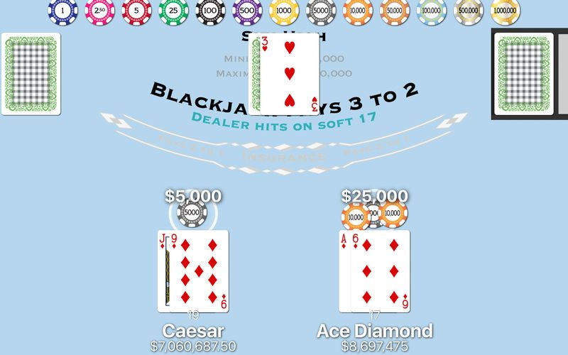Blackjack Player - кадр 1