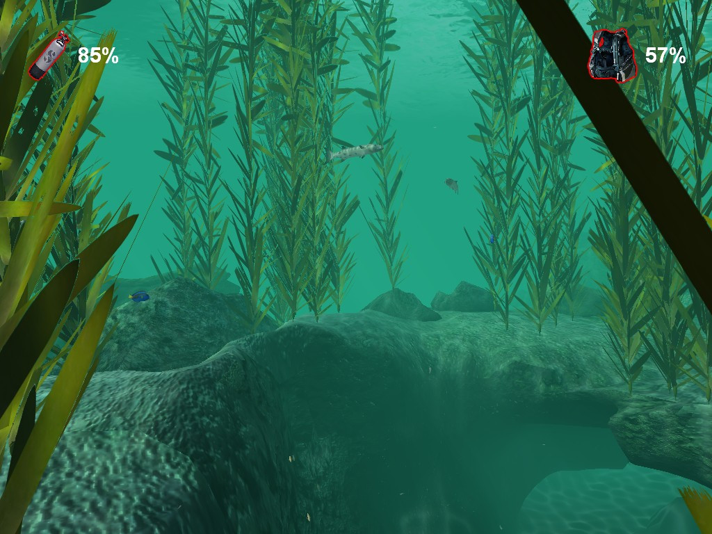 Check Dive - кадр 7