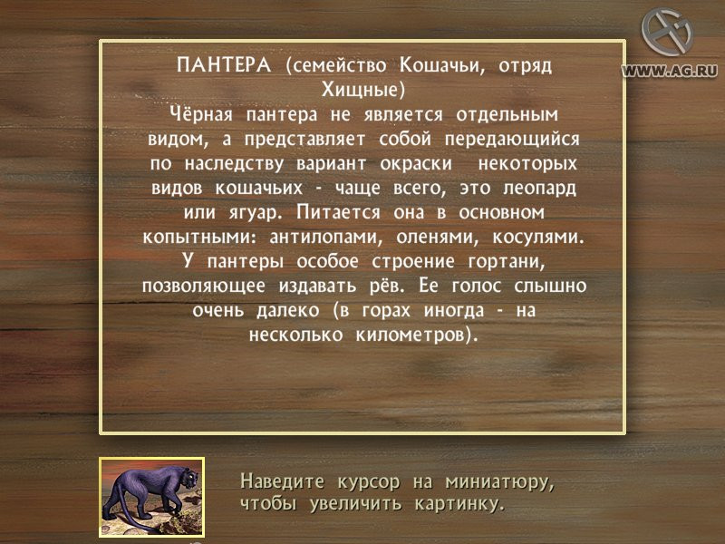 Агентство "Котопес". Остров доктора Крысарди - кадр 2