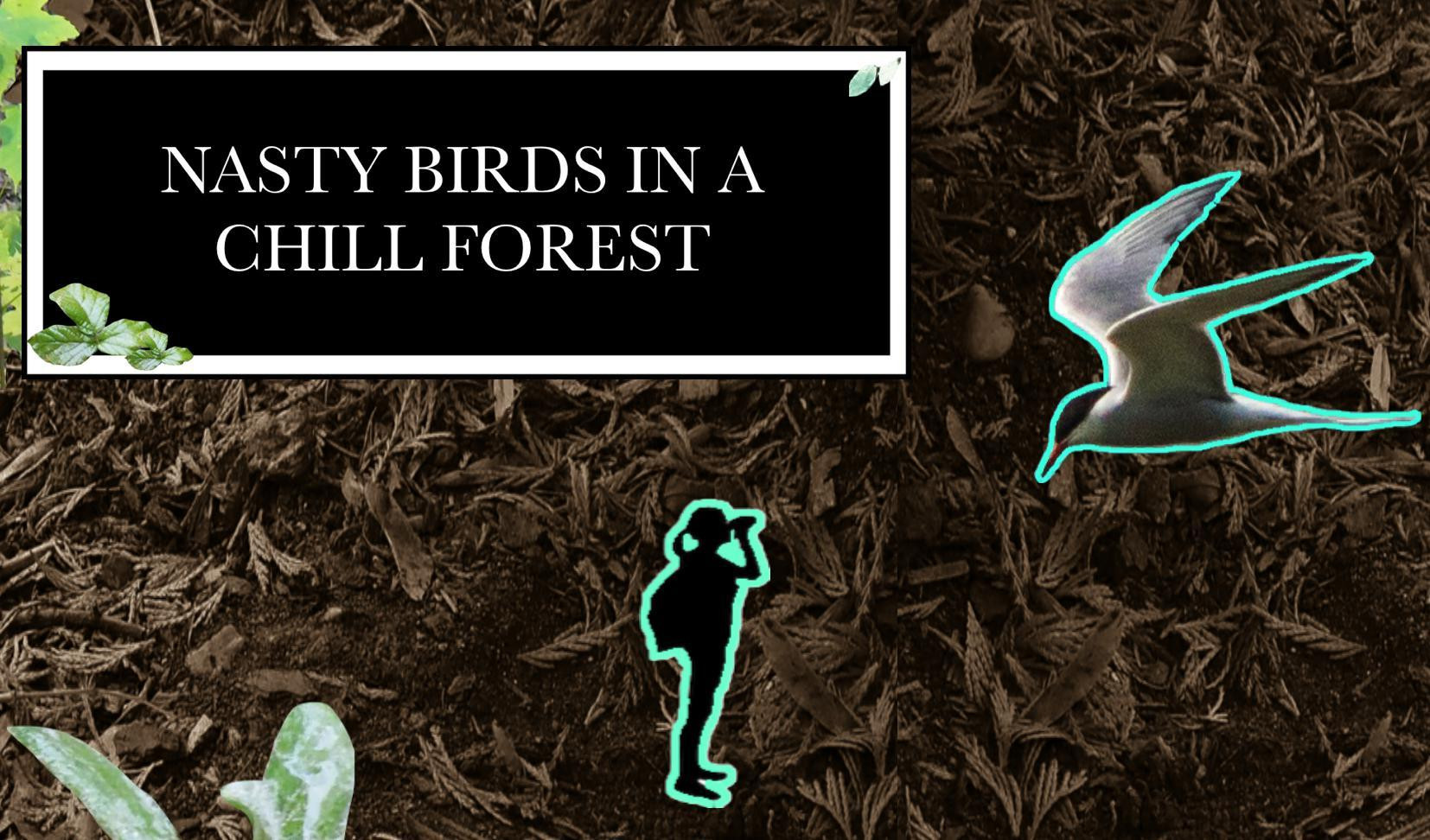Nasty Birds in a Chill Forest (itch) - кадр 1