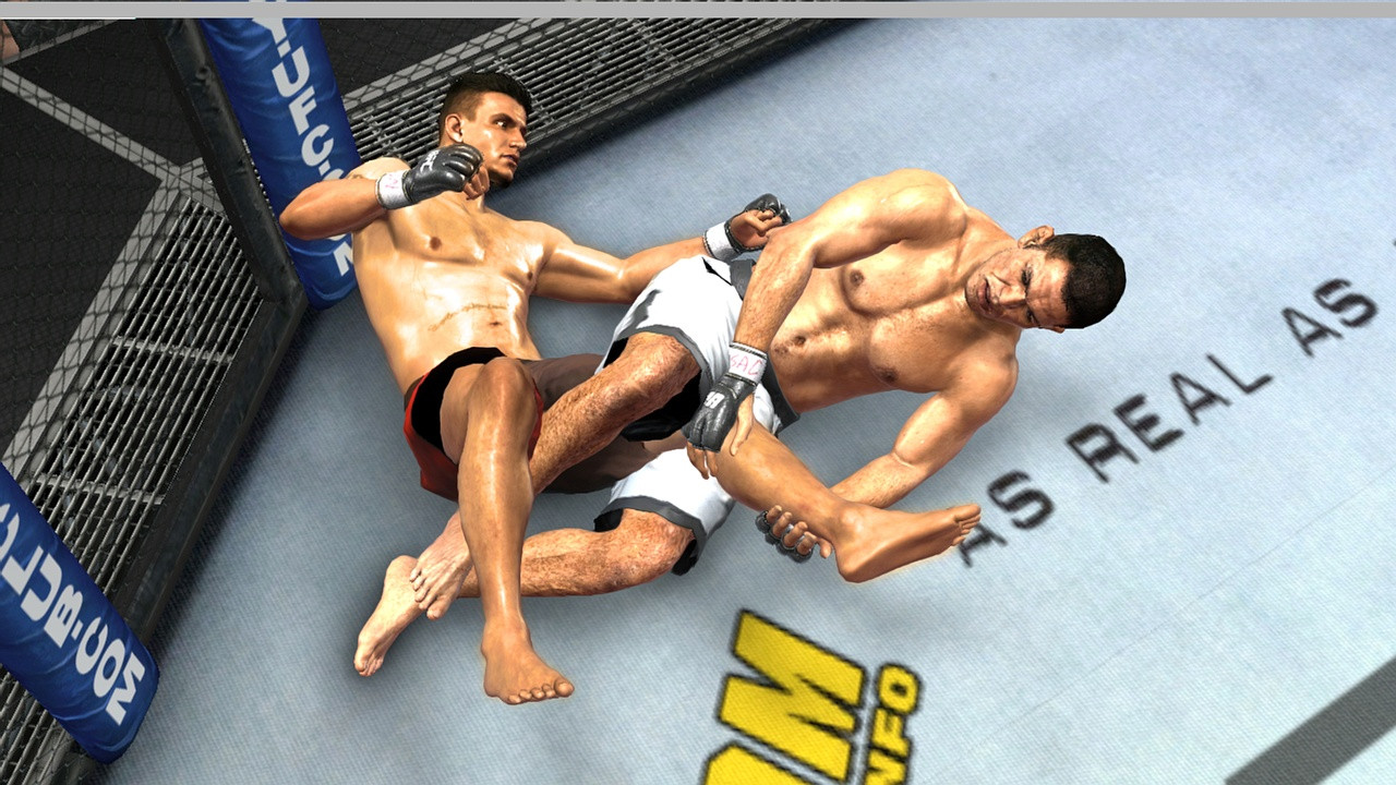 UFC 2009 Undisputed - кадр 9